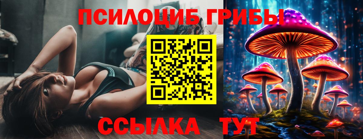 Галлюциногенные грибы MAGIC MUSHROOMS  Вход с VPN  Галлюциногенные грибы Psilocybe  Лесной 
