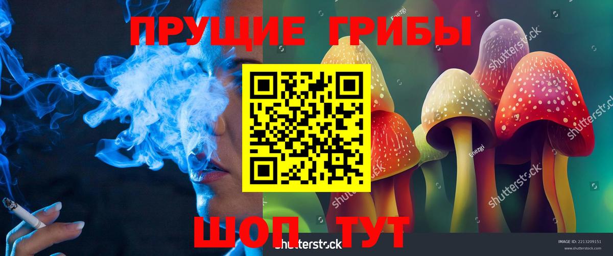 Галлюциногенные грибы ЛСД Лесной